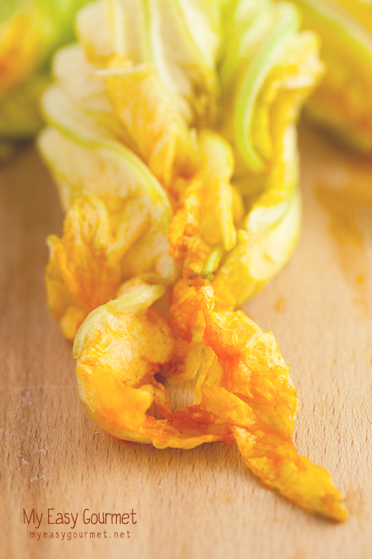 Zucchini blossom